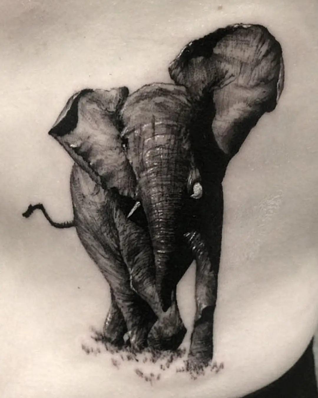 elephant-black-and-grey-tattoo copy
